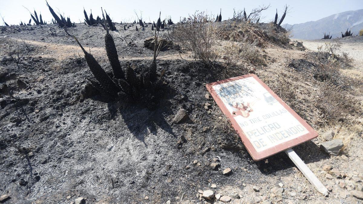 Parajes quemados en el que los medios aéreos y terrestres continúan este sábado luchando contra el incendio en Sierra Bermeja, que se declaró este pasado miércoles y sigue activo. 