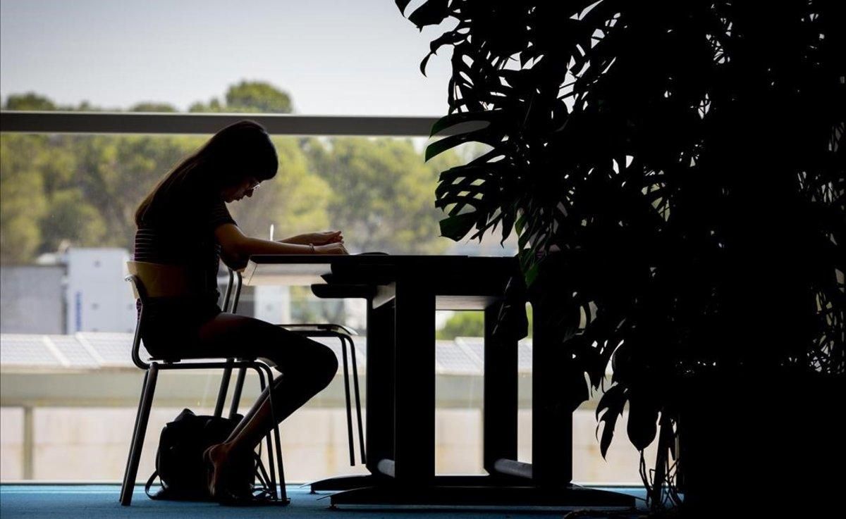 Un estudiante, en una biblioteca universitaria. Un estudiante, en una biblioteca universitaria.
