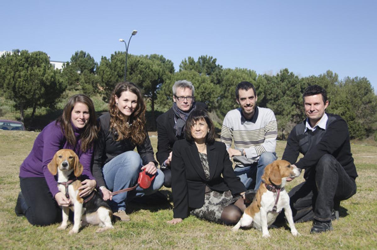 Perros con diabetes curados con terapia génica, con el equipo de la UAB.