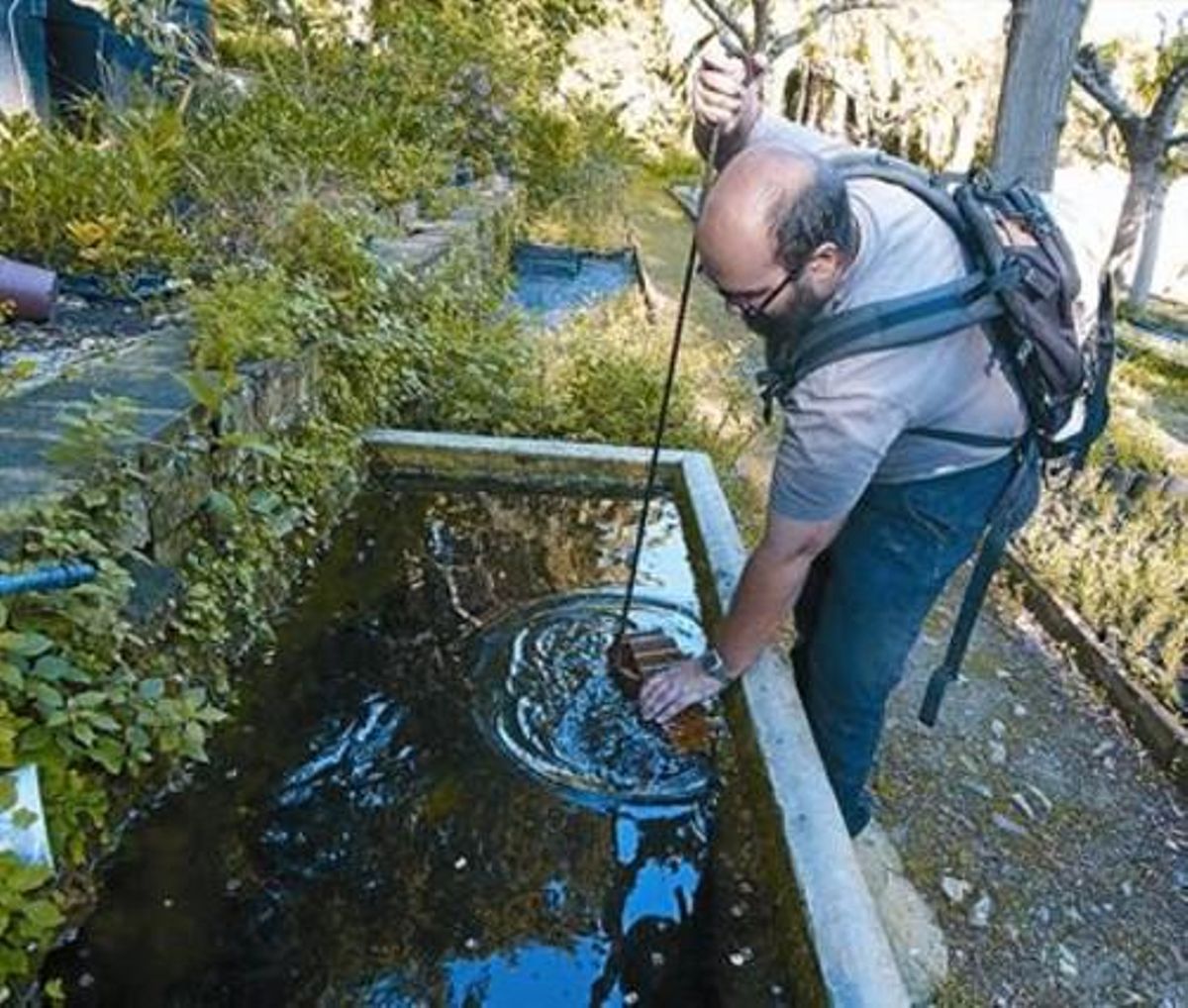 El biólogo Guillem Pascual cuida las planarias de las balsas del vivero de Tres Pins en Montjuïc, en Barcelona. El biólogo Guillem Pascual cuida las planarias de las balsas del vivero de Tres Pins en Montjuïc, en Barcelona.