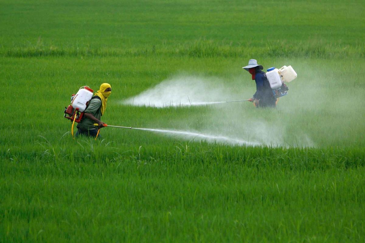 Bruselas propone recortar los pesticidas un 50% en 2030