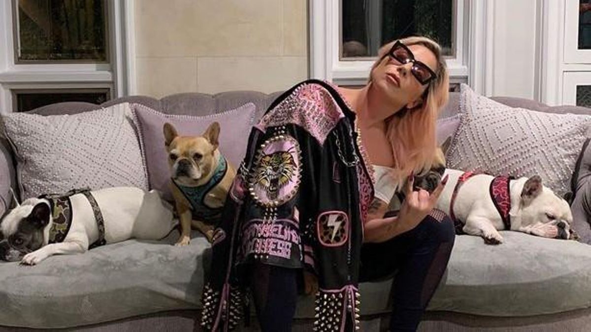 Lady Gaga, con sus perros. Lady Gaga, con sus perros.