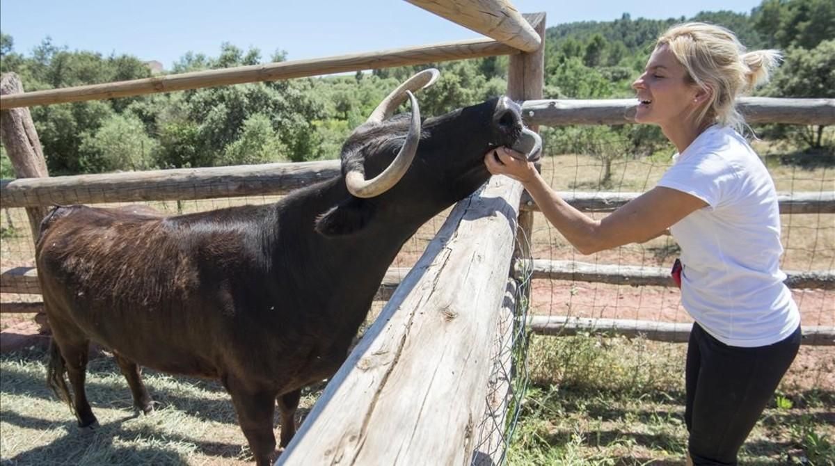 La vaca Margarita, en su nuevo hogar del santuario El Hogar ProVegan, en Marçà (Priorat). La vaca Margarita, en su nuevo hogar del santuario El Hogar ProVegan, en Marçà (Priorat).