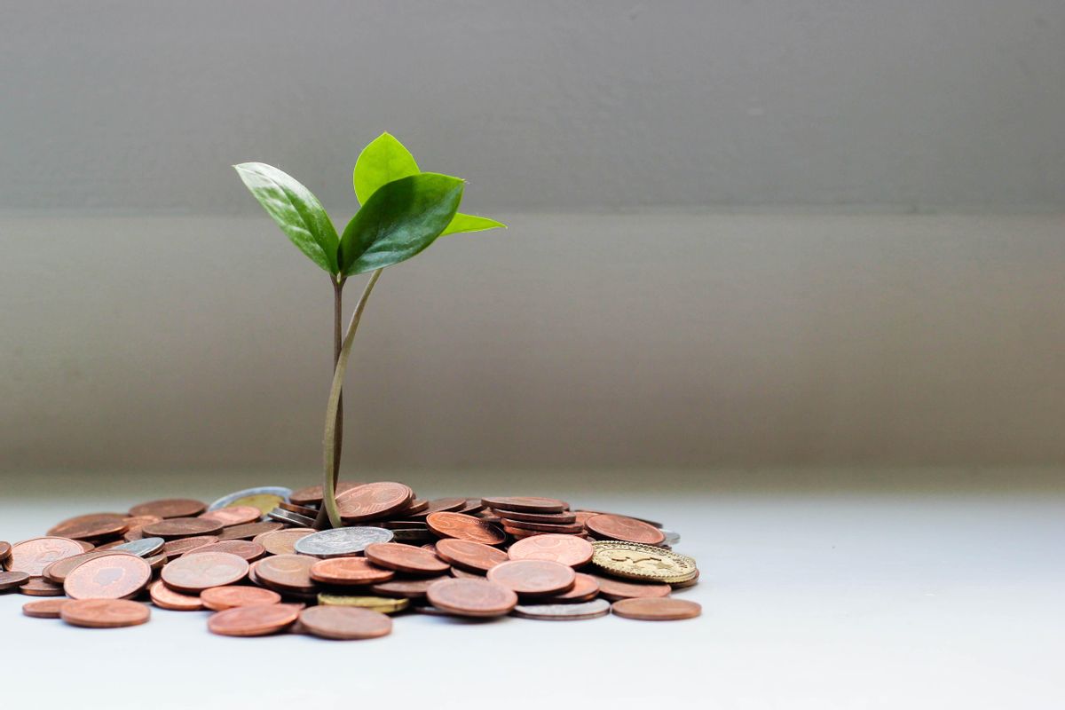 Las scaleups españolas cerrarán el año con una facturación de 3.176 millones, casi el doble que en 2020 Las scaleups españolas cerrarán el año con una facturación de 3.176 millones, casi el doble que en 2020