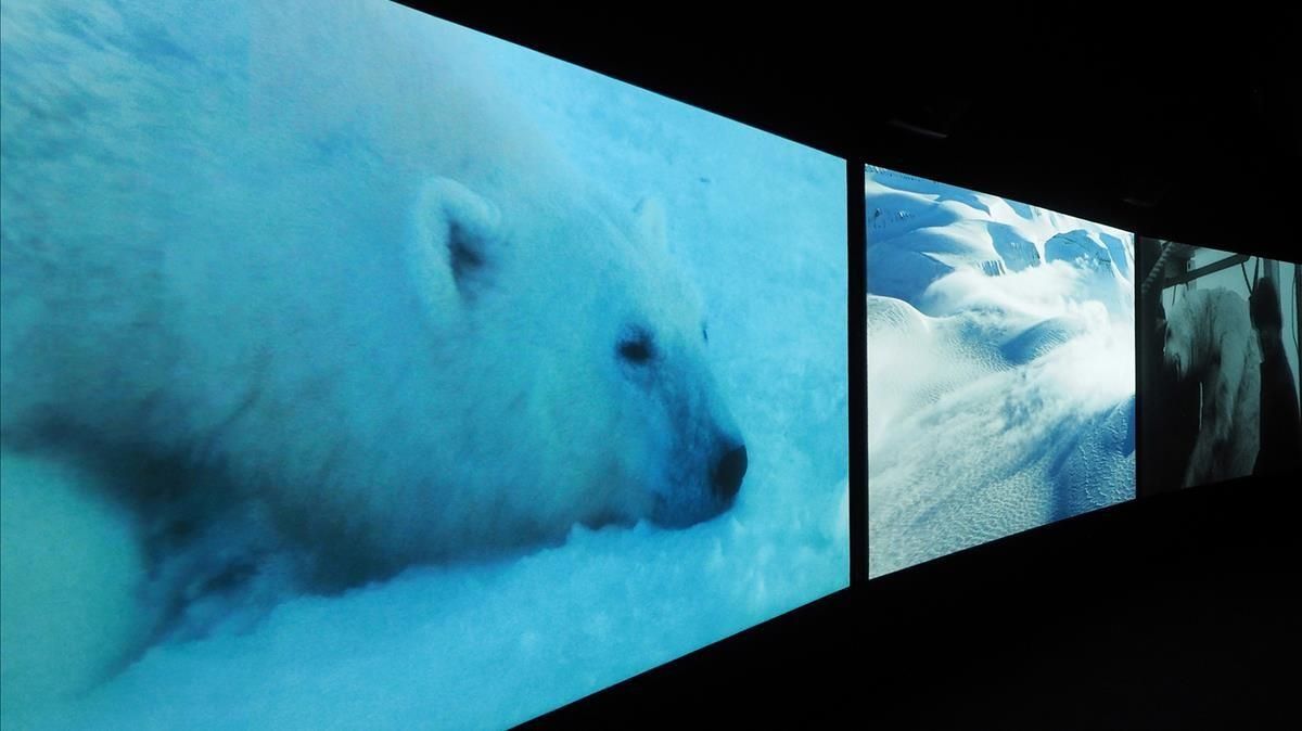 Muestra de la instalación ’Vertigo Sea’, de John Akomfrah, en la Fundació Tàpies. Muestra de la instalación ’Vertigo Sea’, de John Akomfrah, en la Fundació Tàpies.