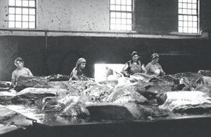 Cuatro trabajadoras de la factoría de Caneliñas despiezan un ejemplar en 1981.