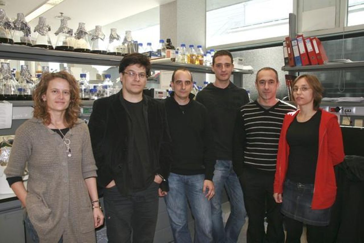 Eulàlia de Nadal, Ricard Solé, Francesc Posas, Sergi Regot, Javier Macia y Núria Conde, de izda a dcha, el grupo de investigadores de la Universitat Pompeu Fabra. Eulàlia de Nadal, Ricard Solé, Francesc Posas, Sergi Regot, Javier Macia y Núria Conde, de izda a dcha, el grupo de investigadores de la Universitat Pompeu Fabra.