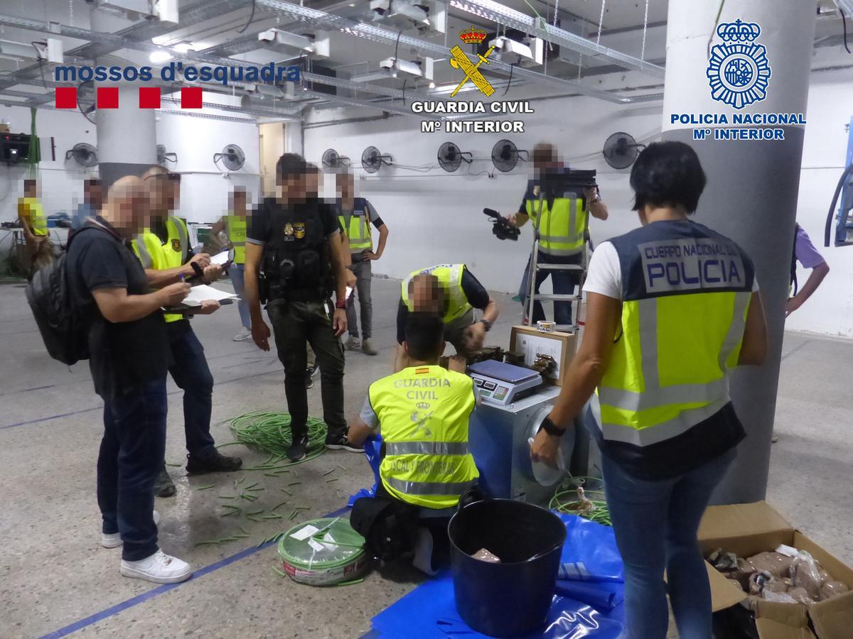 Confiscades més de cinc tones de marihuana a Mataró i a Pineda de Mar