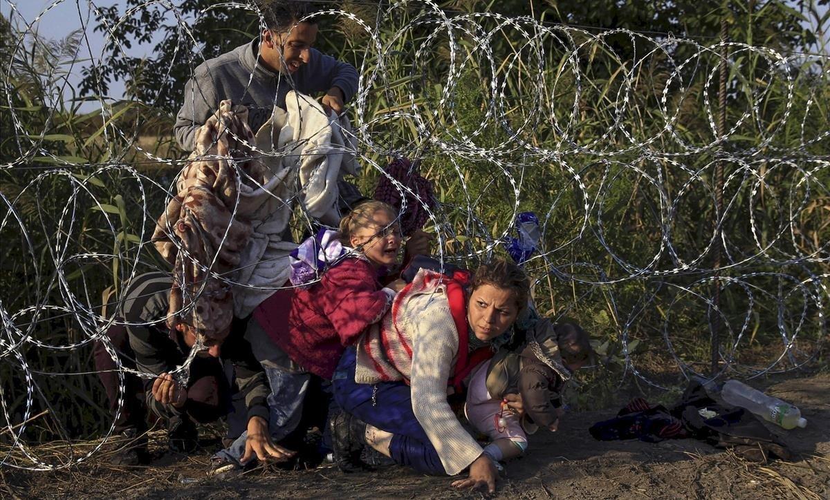 Migrantes sirios cruzan una alambrada de concertinas en la localidad húngara de Röszke, en la frontera con Serbia. 