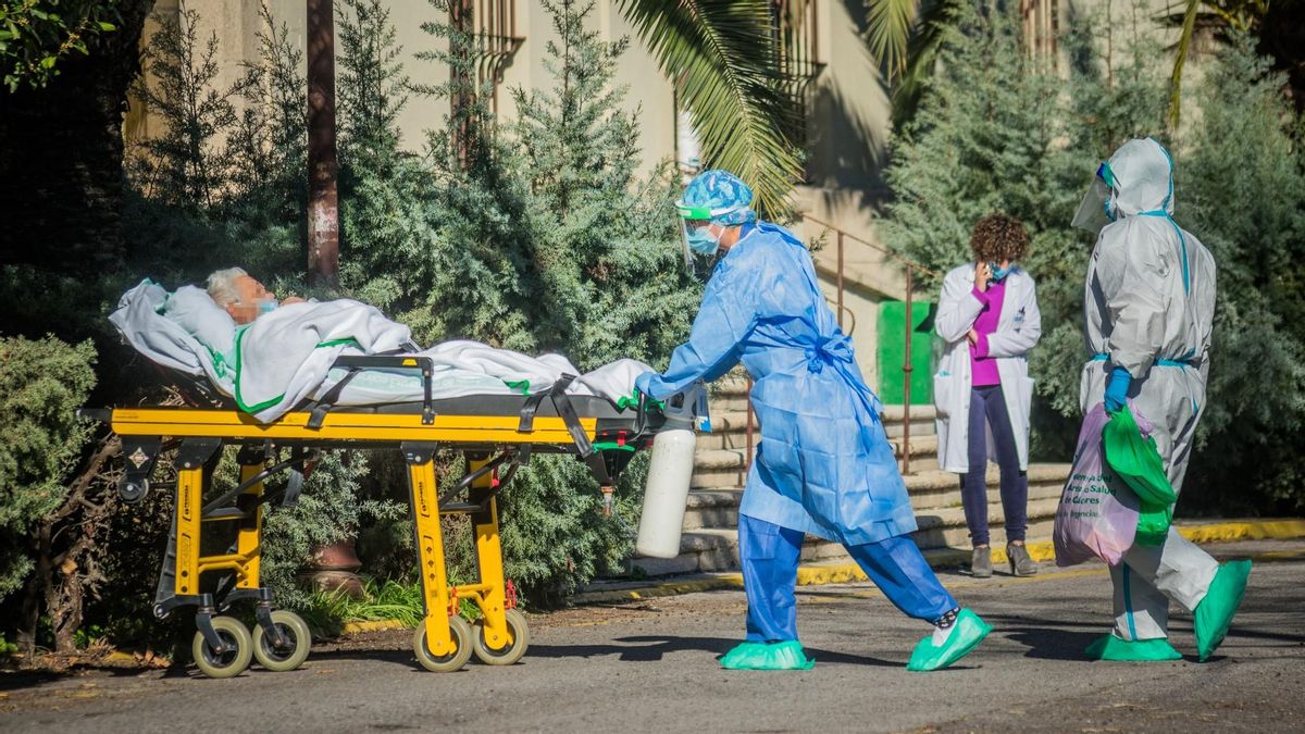 Sanitarios trasladan en camilla a un enfermo de covid-19 al Hospital Virgen de la Montaña de Cáceres este lunes. Sanitarios trasladan en camilla a un enfermo de covid-19 al Hospital Virgen de la Montaña de Cáceres este lunes.