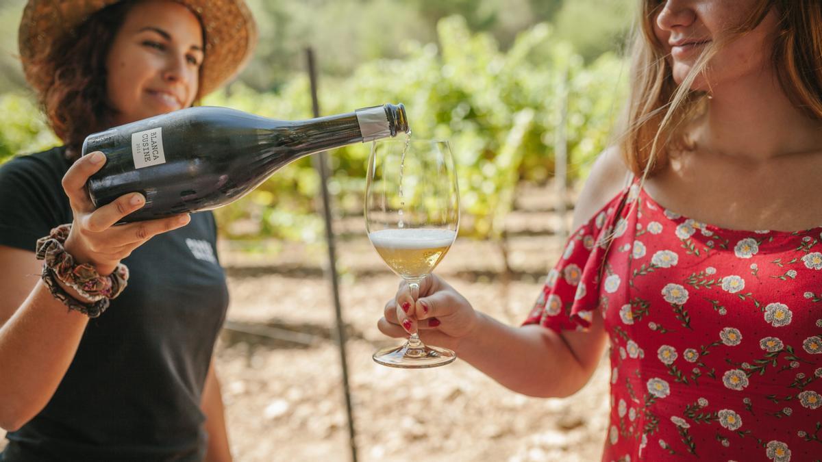 Uno de los vinos ecológicos de la bodega Parés Baltà. Uno de los vinos ecológicos de la bodega Parés Baltà.