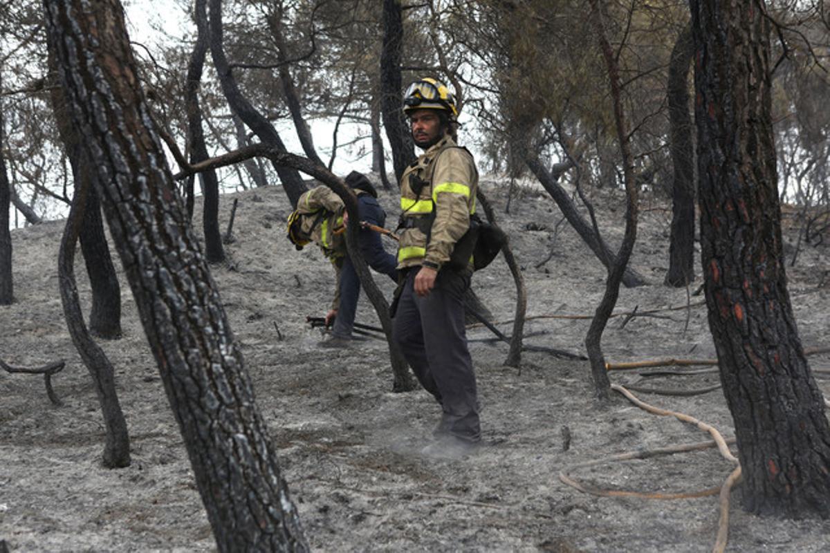 Un bombero trabaja en la extinción del incendio forestal de Òdena, este lunes. Un bombero trabaja en la extinción del incendio forestal de Òdena, este lunes.