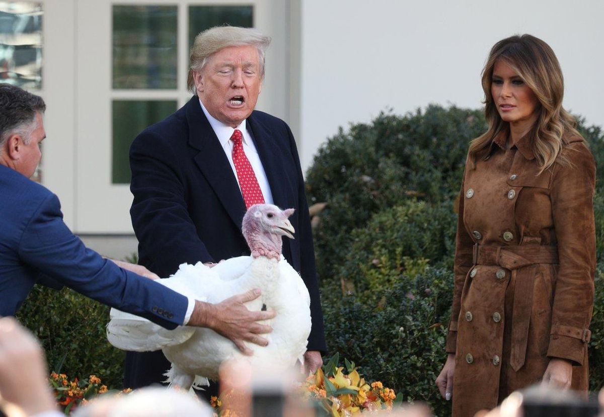 Donald Trump con los pavos Bread y Butter en la Casa Blanca. Donald Trump con los pavos Bread y Butter en la Casa Blanca.