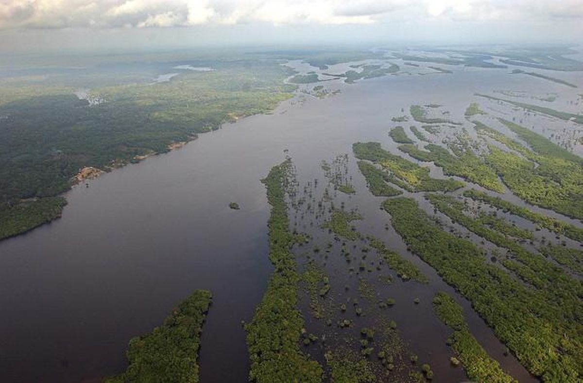 L’Amazònia brasilera. L’Amazònia brasilera.