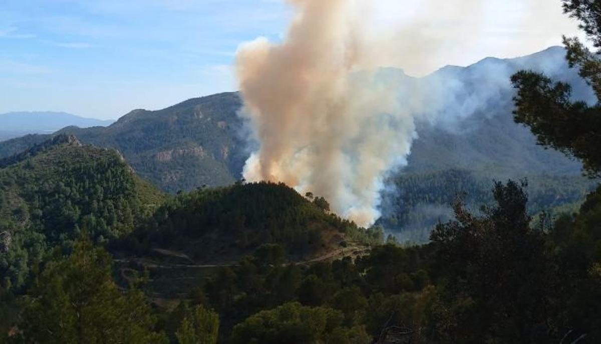 Un incendio entre los municipios Xerta y Paüls (Tarragona) quema cinco hectáreas