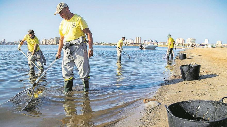 Marchamalo, la "única solución" para oxigenar el agua del Mar Menor - Vimarsana News