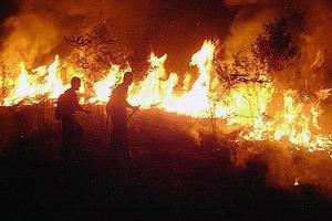 Bomberos combaten un incendio en el Amazonas (Brasil).