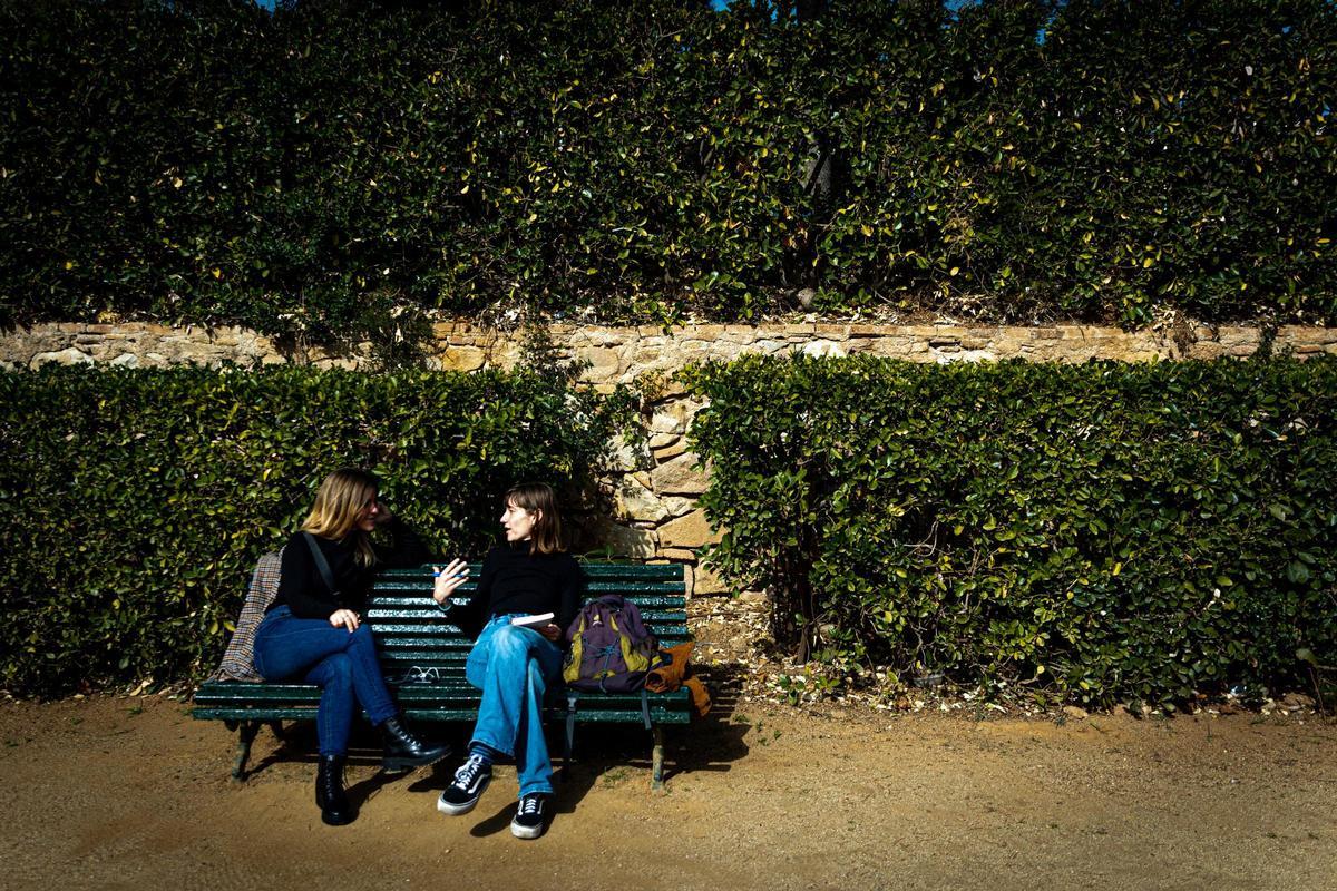 Daños en un seto en los jardines del palacio de Pedralbes, en Barcelona. Daños en un seto en los jardines del palacio de Pedralbes, en Barcelona.