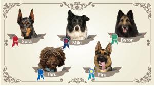 Orla con los perros Sura, Miki, Byron, Taru y Firu