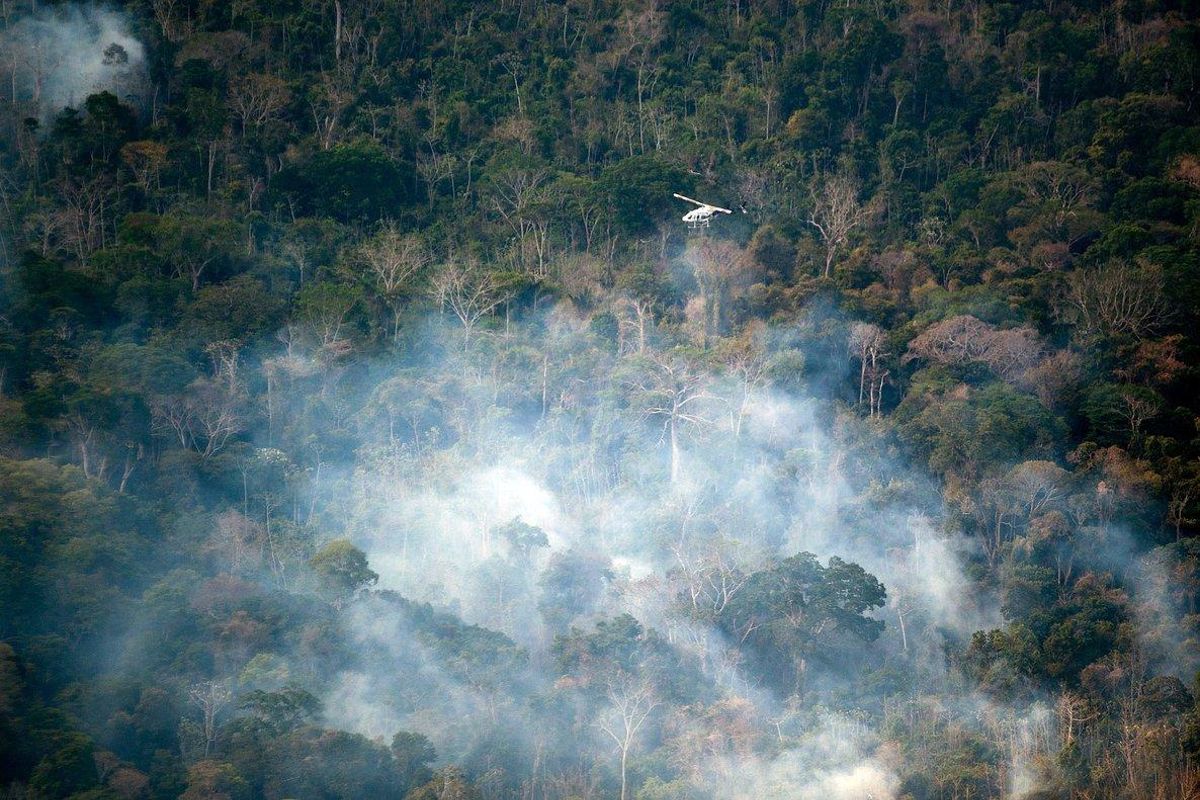 La imagen de la Amazonía en llamas se ha convertido en centro de atención mundial. La imagen de la Amazonía en llamas se ha convertido en centro de atención mundial.
