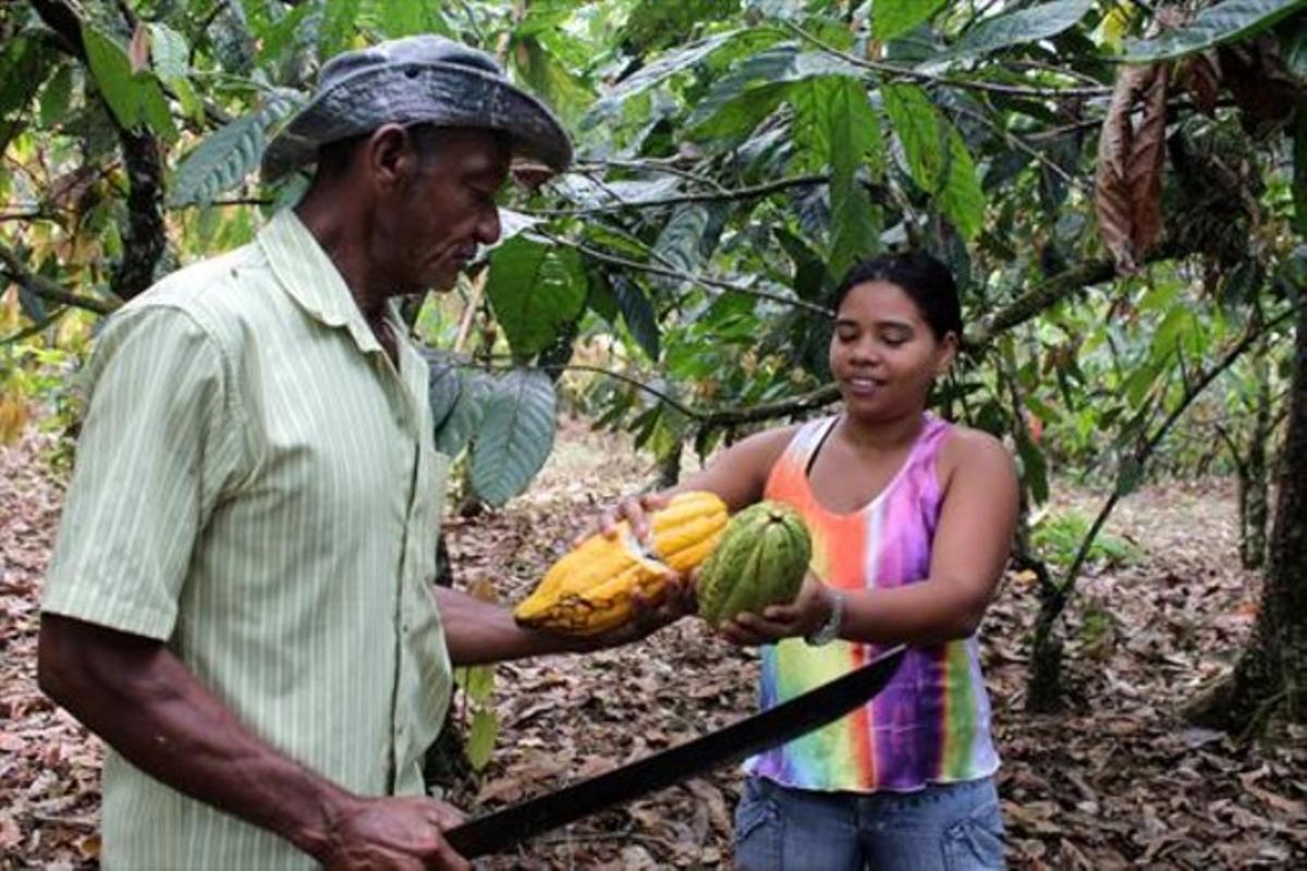 Glicélia Jesus Da Silva, líder tupinambá, entrega mazorcas de cacao a Josè, miembro de su comunidad. 
