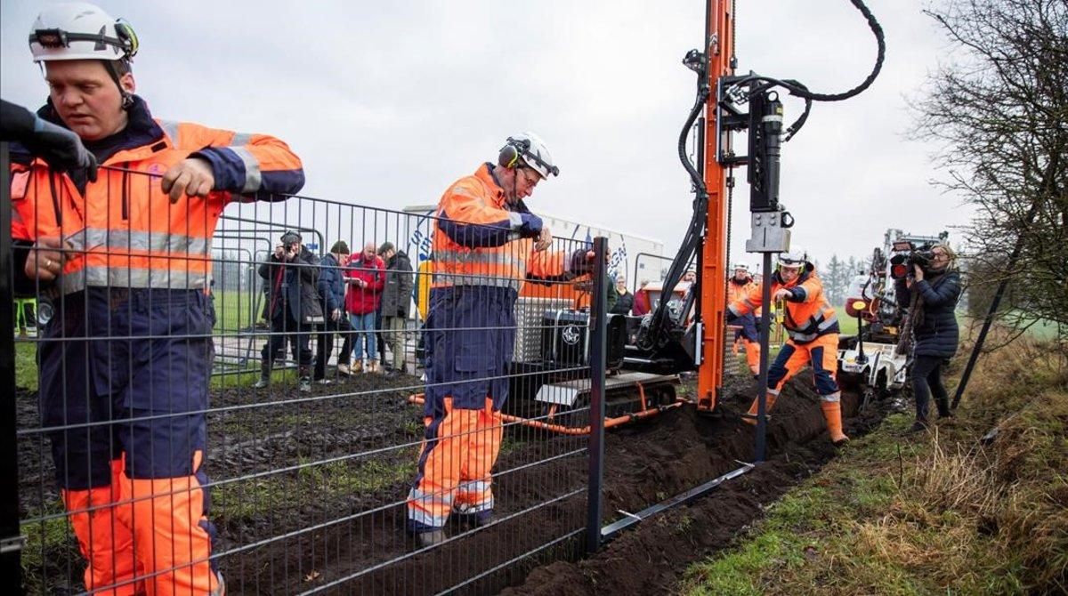 Unos operarios instalan una valla en la localidad danesa de Padborg para delimitar el tránsito de los jabalís procedentes de territorio alemán. Unos operarios instalan una valla en la localidad danesa de Padborg para delimitar el tránsito de los jabalís procedentes de territorio alemán.