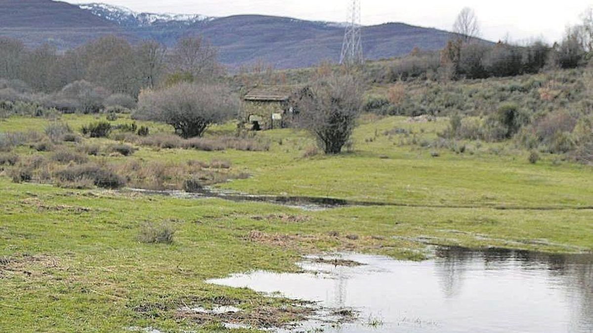 Paraje de Cobreros (Zamora) donde se instalará un parque fotovoltaico Paraje de Cobreros (Zamora) donde se instalará un parque fotovoltaico