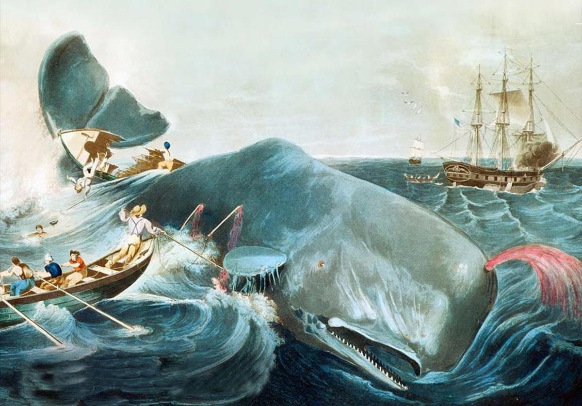 Moby Dick: com domar un monstre (de mil pàgines)