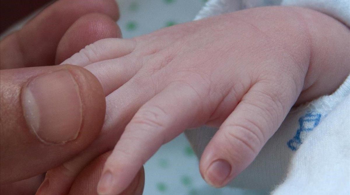La mano de un bebé. La mano de un bebé.