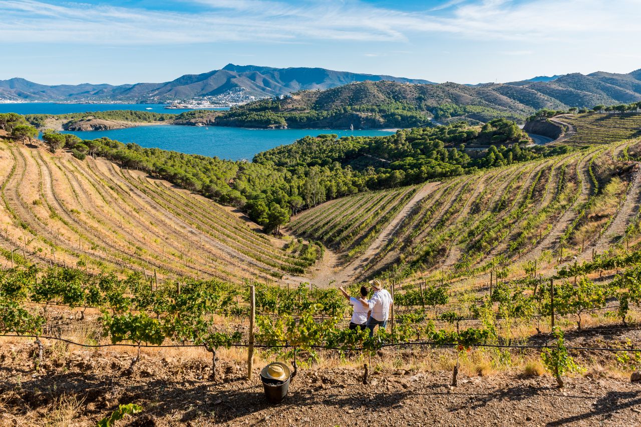De la Costa Brava al Pirineo: Cuatro planes para disfrutar de la enogastronomía en Girona - Vimarsana News