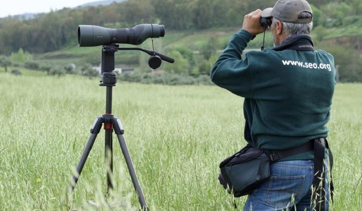 Un voluntario observa aves con telescopio y prismáticos.
