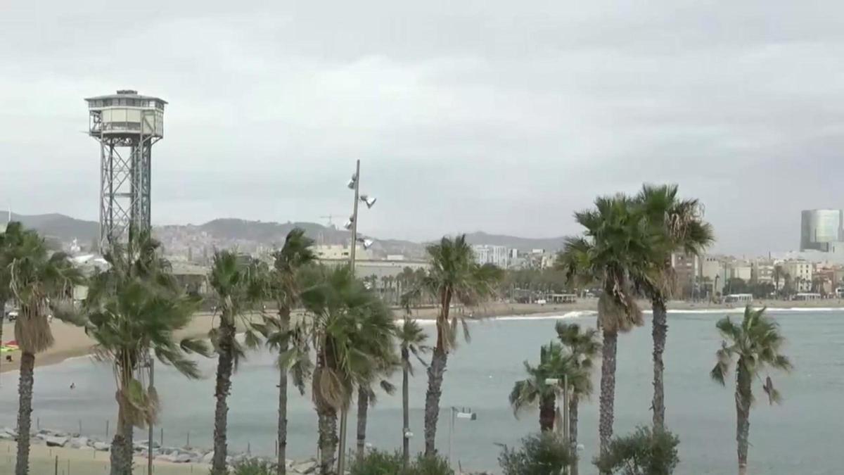 Fuertes vientos y mar de fondo en Barcelona por la llegada de la borrasca Ciarán.