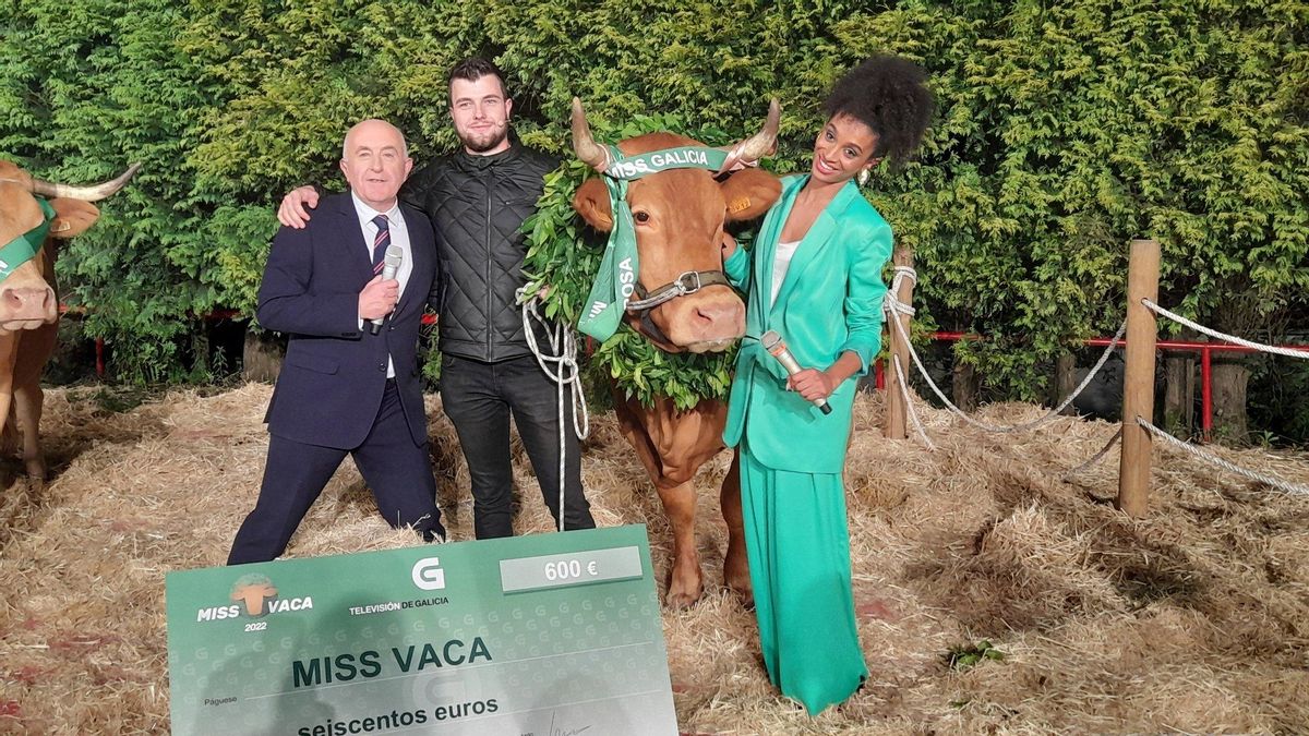 La vaca Rubia, tras proclamarse ganadora del concurso Miss Vaca 2022 La vaca Rubia, tras proclamarse ganadora del concurso Miss Vaca 2022