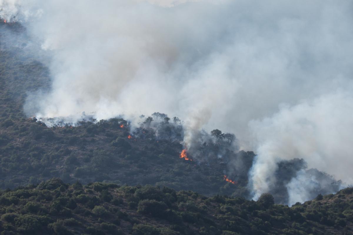 La llamas avanzan en el incendio de Artesa de Segre.