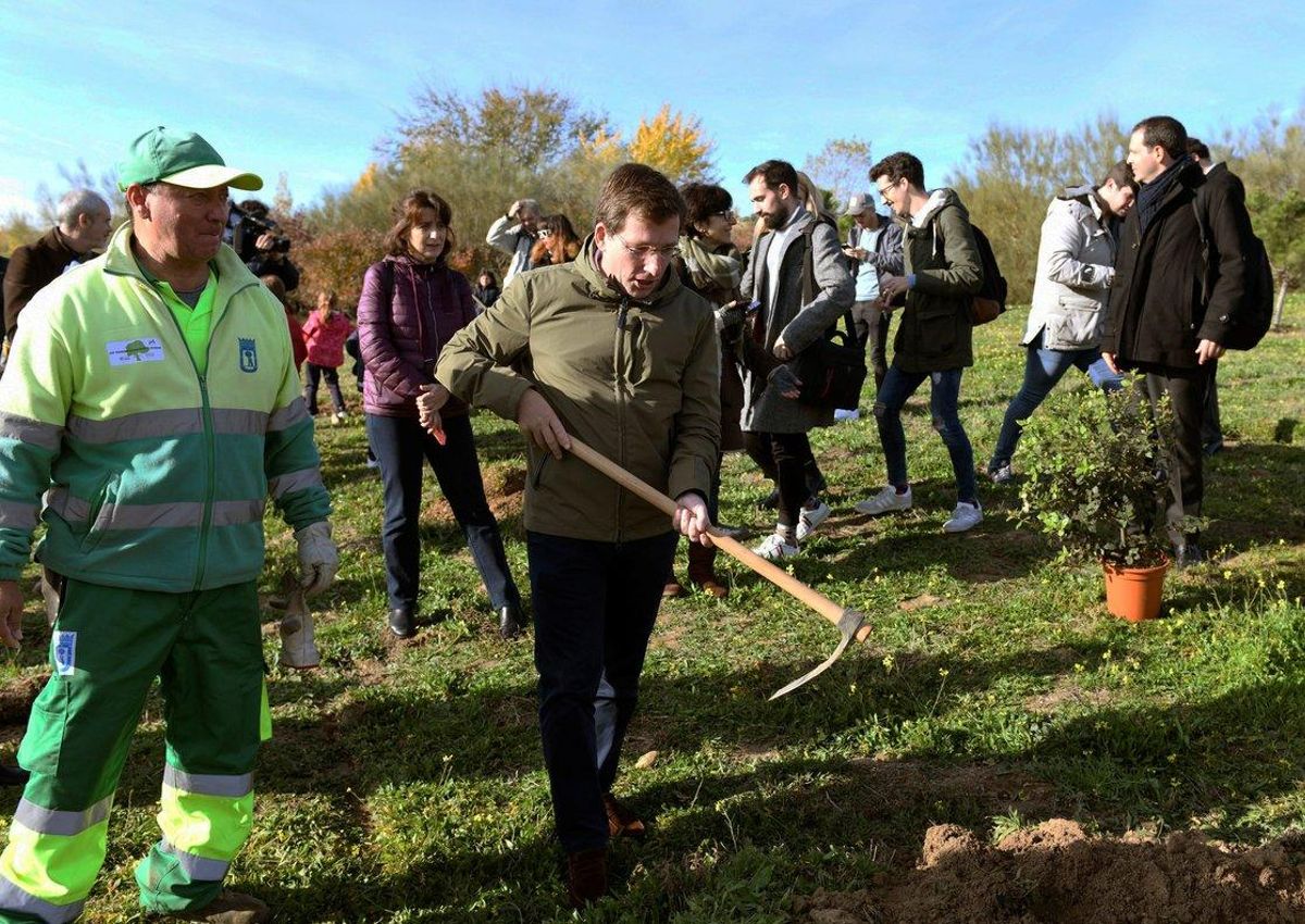 El alcalde de Madrid, José Luis Martínez Almeida, participando en una plantanción en un colegio de Madrid. El alcalde de Madrid, José Luis Martínez Almeida, participando en una plantanción en un colegio de Madrid.
