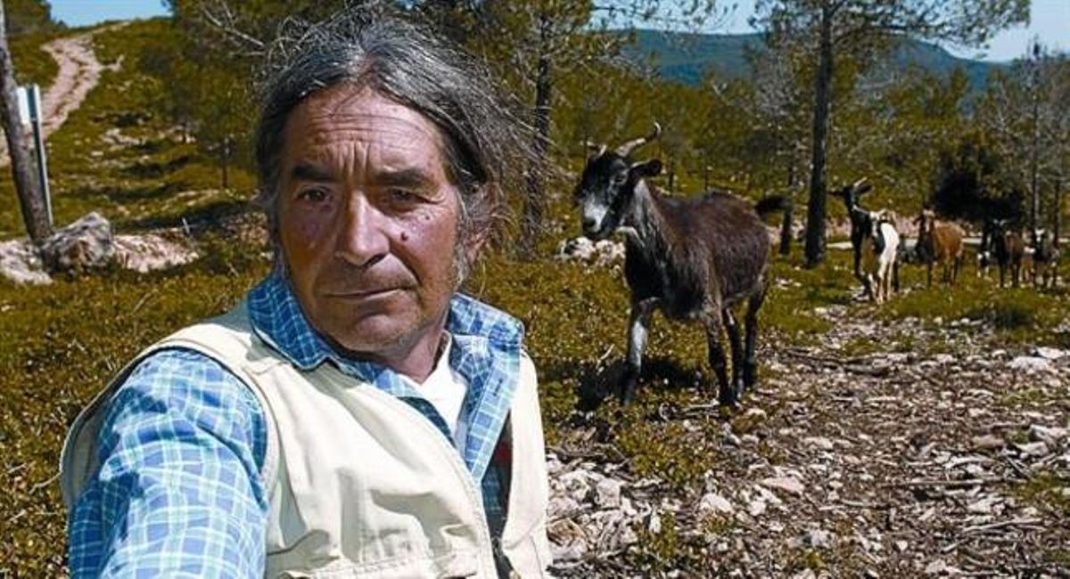 Pasqual Molina. Pasqual Molina.