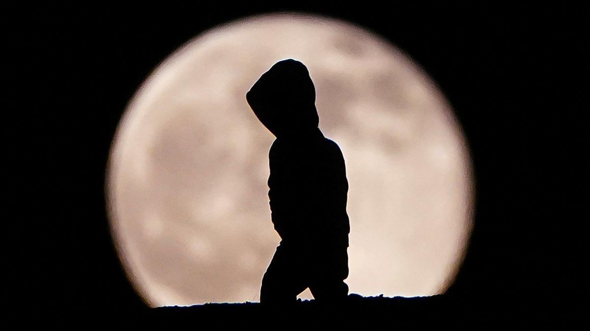 Luna llena del año pasado, que fue el 19 de diciembre, vista en una zona de Toronto (Canadá).
