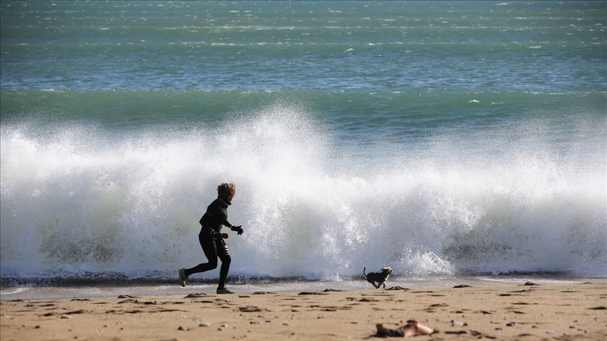 Una mujer paseando con su perro en la playa de la Barceloneta. Una mujer paseando con su perro en la playa de la Barceloneta.
