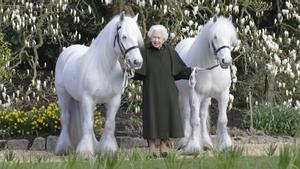La reina Isabel II de Inglaterra cumple 96 años. La foto muestra a la soberana sosteniendo a sus ponis, en una imagen publicada por  The Royal Windsor Horse Show para conmemorar su 96 cumpleaños. 