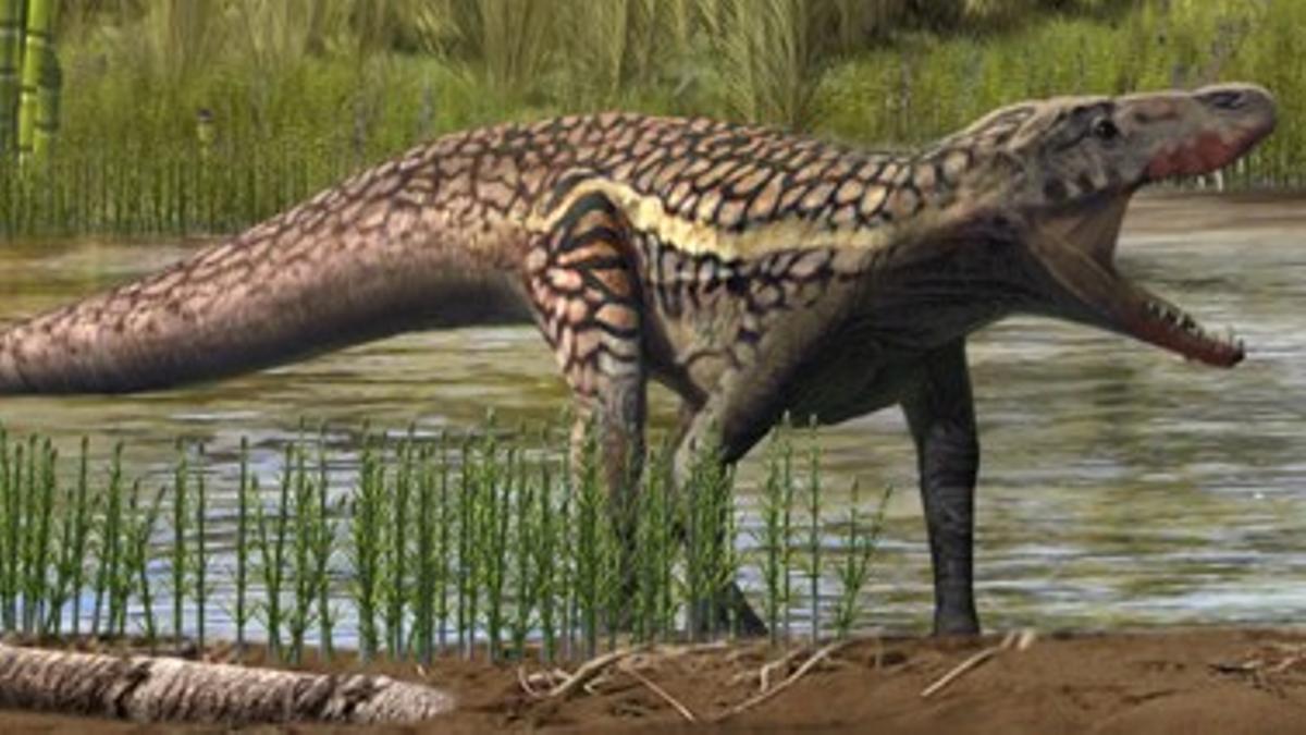 Descritas unas 200 huellas fósiles de animales que precedieron a dinosaurios  en Catalunya