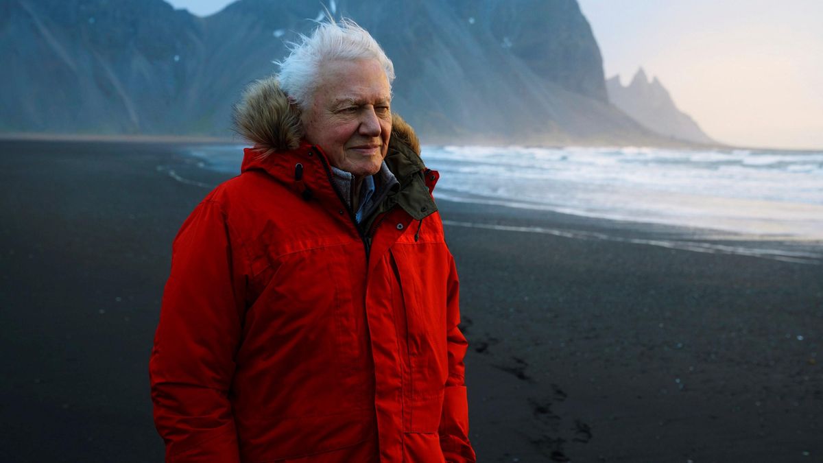 David Attenborough, en Islandia. David Attenborough, en Islandia.