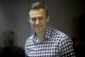 Navalni: «No em penedeixo de res»