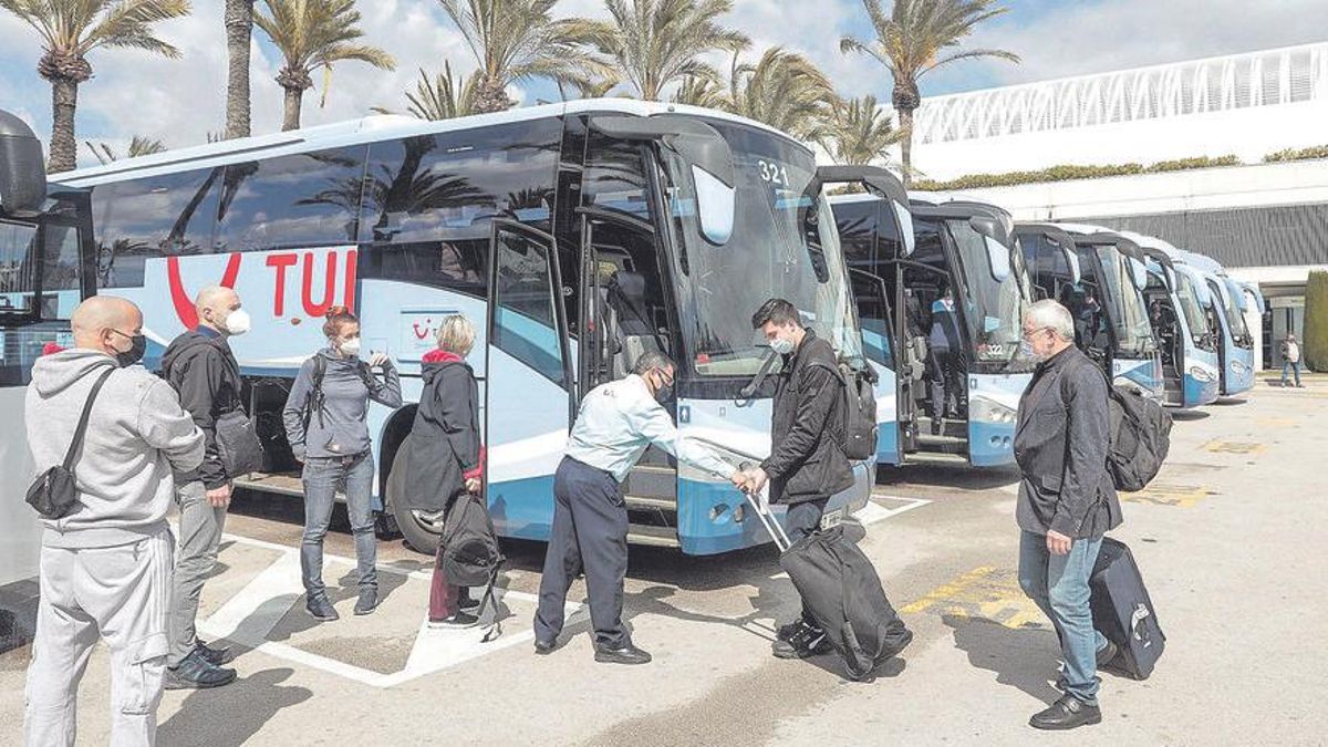 Alemanes en Mallorca: "Nos tomamos un respiro del covid" Alemanes en Mallorca: "Nos tomamos un respiro del covid"