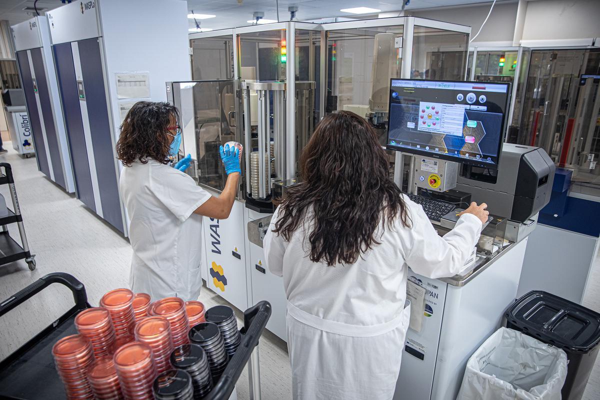 Plataforma robótica dedicada al estudio de bacterias del Vall d’Hebron. 