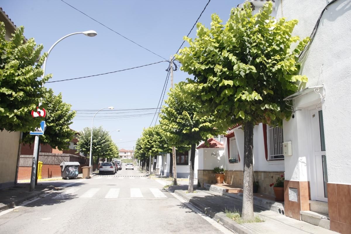 Árboles del Barri Cerdanet, Parets del Vallès Árboles del Barri Cerdanet, Parets del Vallès