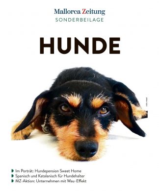 Hunde Mallorca 2020