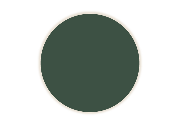 Eclipse Anular