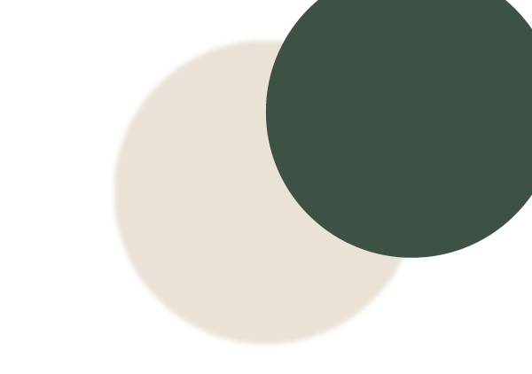Eclipse Lunar Parcial