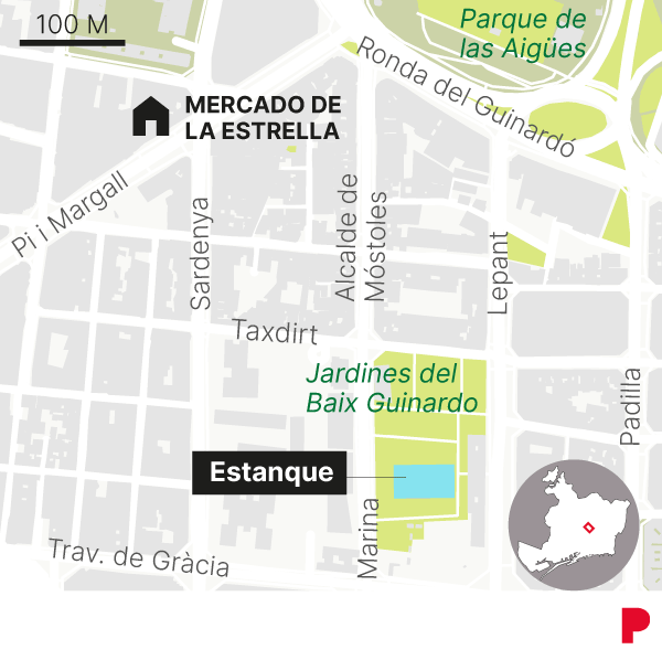 Imagen de los patos en los Jardins del Baix Guinardó