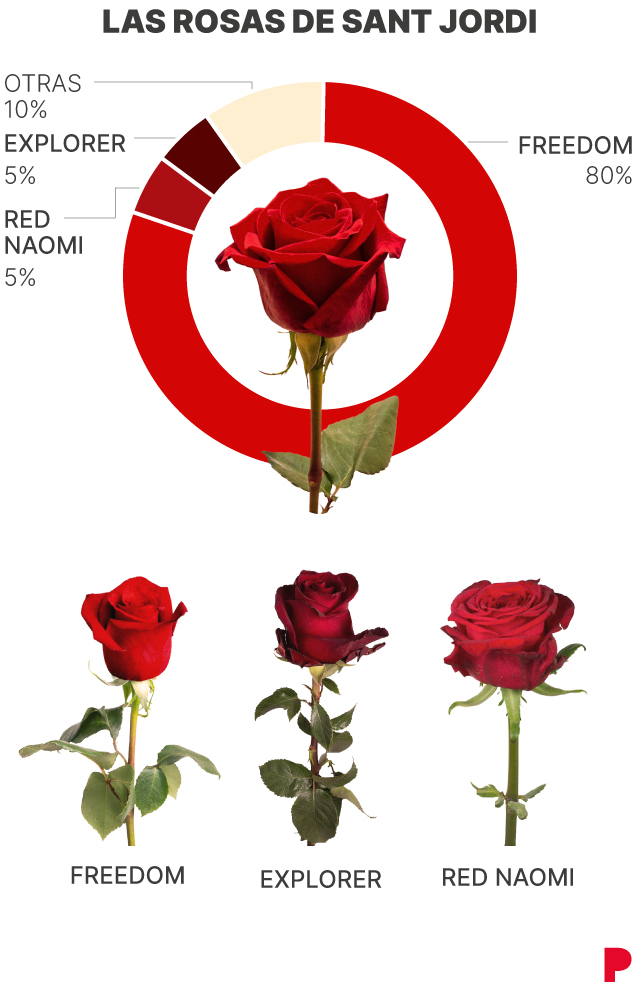 Imagen de las rosas de Sant Jordi